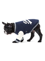 Sniff Baseball Dog Jacket