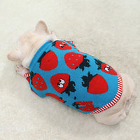 Cartoon Strawberry Dog Sweater
