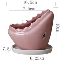 Cartoon Marine Succulent Flower Pot Ceramic Creative