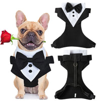 Sangle de poitrine et laisse pour chien Tuxedo