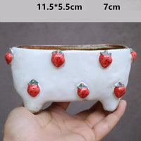 Stoneware Succulent Plant Pot