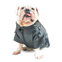 Leather Motorcycle Dog Spring Autumn Jacket