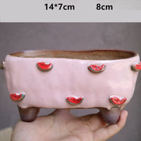 Stoneware Succulent Plant Pot
