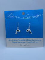 Pendientes Forros de Plata