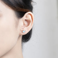 Boucles d'oreilles baleine en argent sterling S925