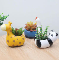 Cartoon Animal Succulent Planters