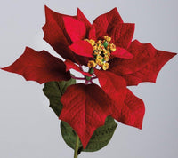Poinsetta - Long Stem Picks