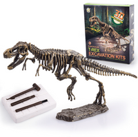 Dinosaur Excavation Kits