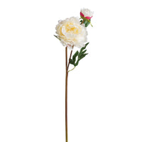 Cream Peony - Long Stem Pick