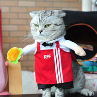 Disfraces De Halloween Para Mascotas
