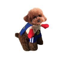 Boxer Pet Costume