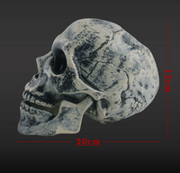 Skeleton Halloween Outdoor Decor