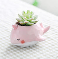 Cartoon Animal Succulent Planters