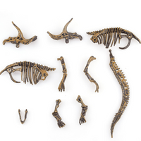 Dinosaur Excavation Kits