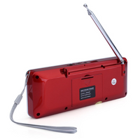AM/FM Radio with Bluetooth Speaker