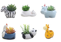 Cartoon Animal Succulent Planters