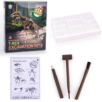 Dinosaur Excavation Kits