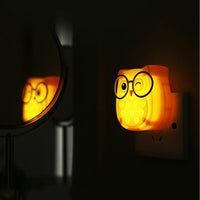 Cartoon Owl Night Lights