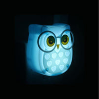 Cartoon Owl Night Lights
