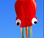 Octopus Kite