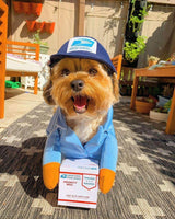 Mail Carrier Pet Costumes
