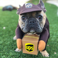 Mail Carrier Pet Costumes