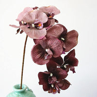 Simulation Orchid
