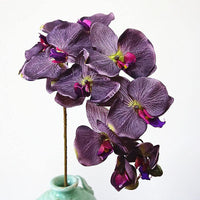 Simulation Orchid