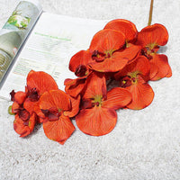 Simulation Orchid