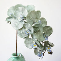 Simulation Orchid
