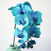 Simulation Orchid