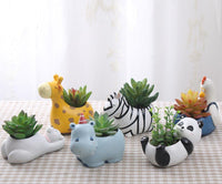 Cartoon Animal Succulent Planters