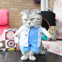 Disfraces De Halloween Para Mascotas
