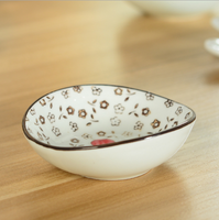 Coffret cadeau de vaisselle à sushi authentique