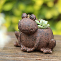 Cartoon Animal Succulent Planters