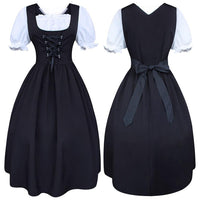 Cinderella Costume (Adult)