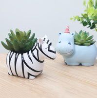 Cartoon Animal Succulent Planters