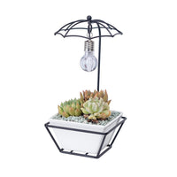 Umbrella Frame Flower Pot with Light