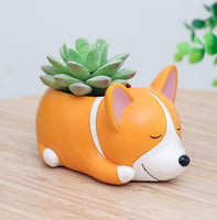 Cartoon Animal Succulent Planters