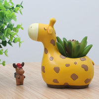 Cartoon Animal Succulent Planters