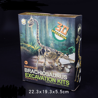 Dinosaur Excavation Kits
