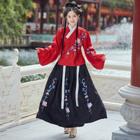 Chinese Hanfu Costume (Adult)