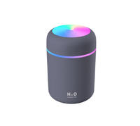 Portable Cool Mist Diffuser
