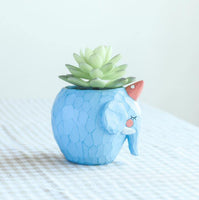 Cartoon Animal Succulent Planters