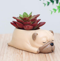 Cartoon Animal Succulent Planters