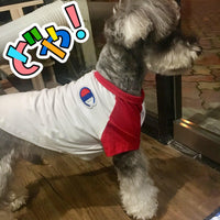 Camiseta para mascota con manga raglán