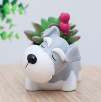 Cartoon Animal Succulent Planters