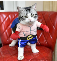 Boxer Pet Costume