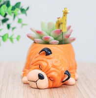 Cartoon Animal Succulent Planters