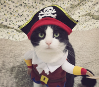 Pet Costumes